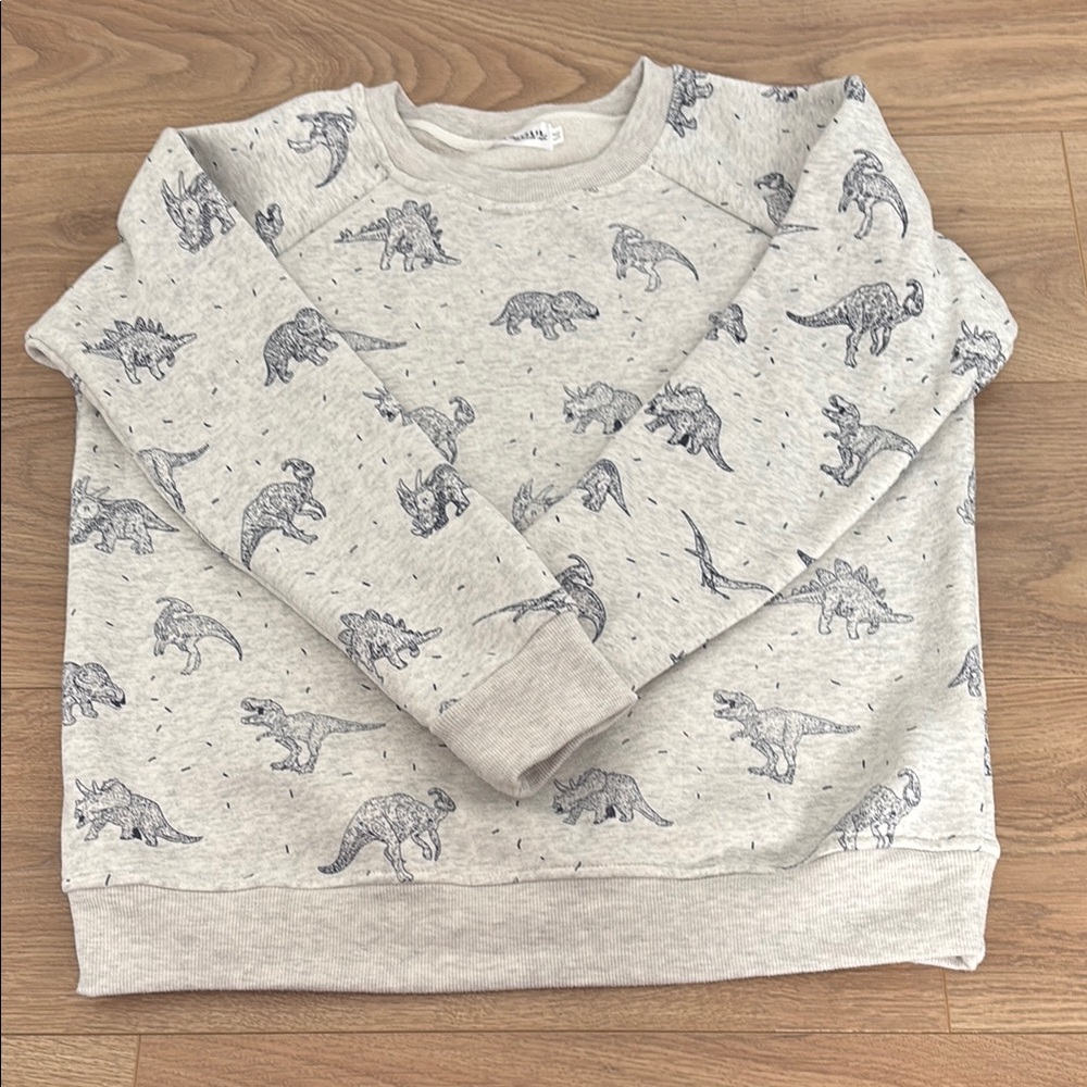 LA Soul Gray Dinosaur Print Sweatshirt